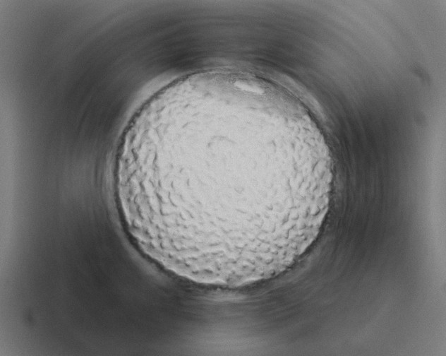 X0000116041239200912312226