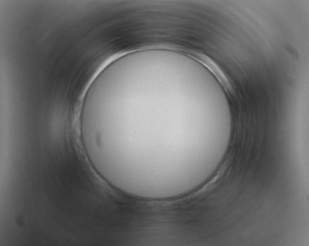X0000116041244200912312226