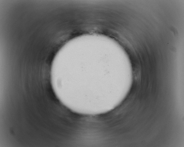 X0000116041251200912312226