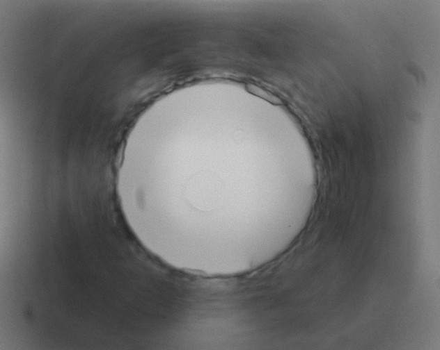 X0000116041253200912312226