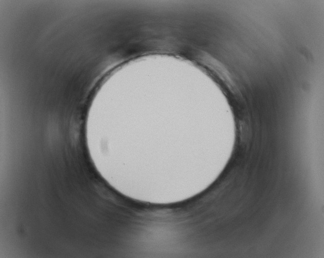 X0000116041260200912312225