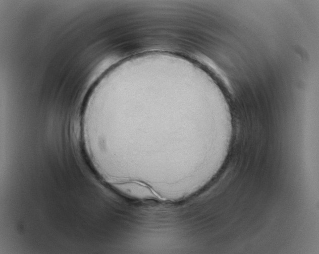 X0000116041274200912312225
