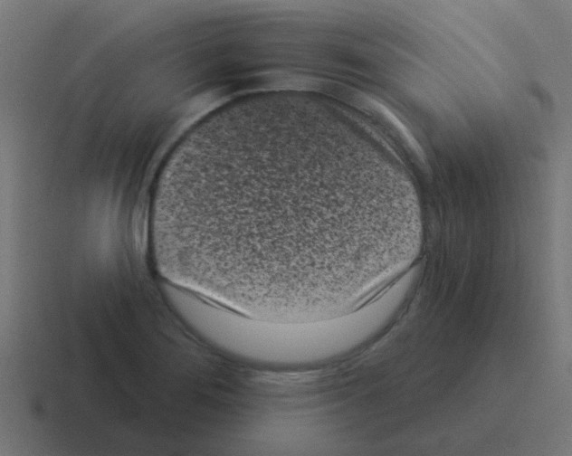 X0000116041276200912312225