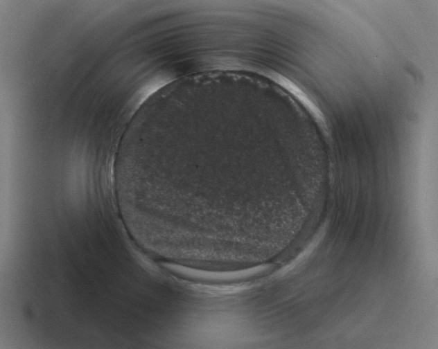 X0000116041289200912312225