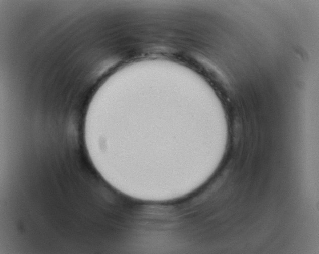 X0000116041305200912312224