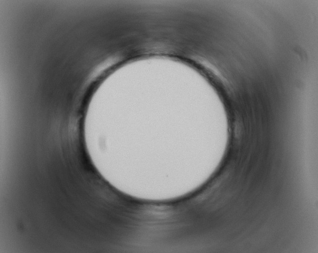 X0000116041309200912312225