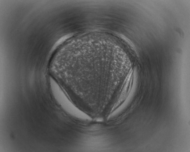 X0000116041314200912312225