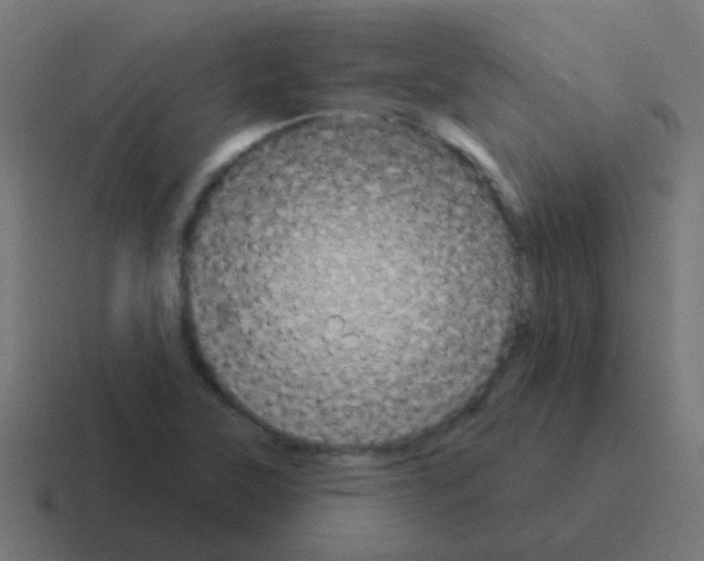 X0000116041315200912312225