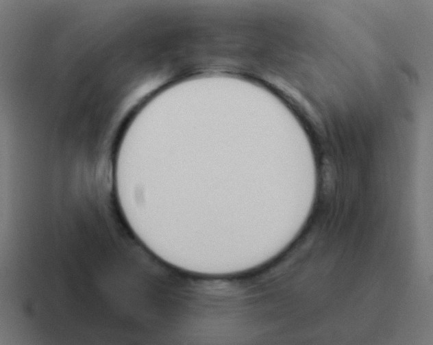 X0000116041317200912312225