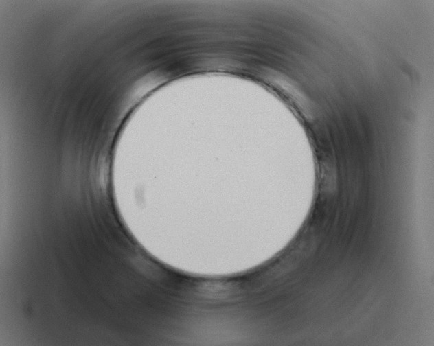 X0000116041322200912312225