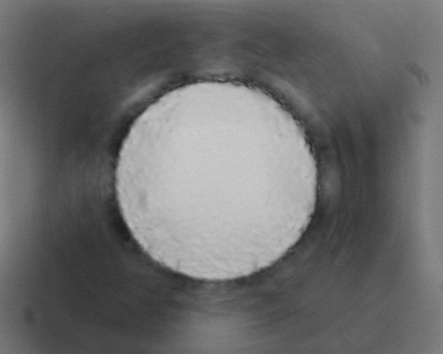 X0000116041350200912312224