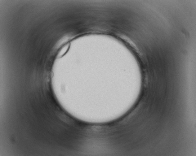 X0000116041355200912312224