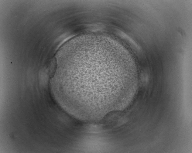 X0000116041361200912312224