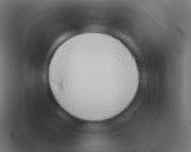 X0000116041366200912312224