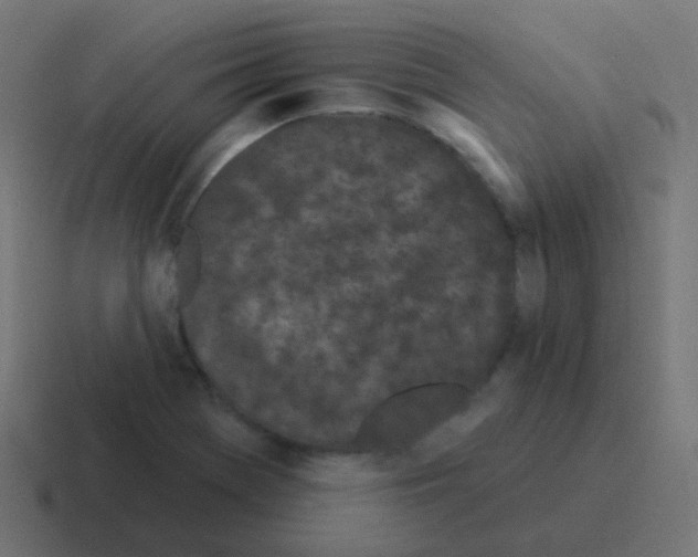 X0000116041369200912312224