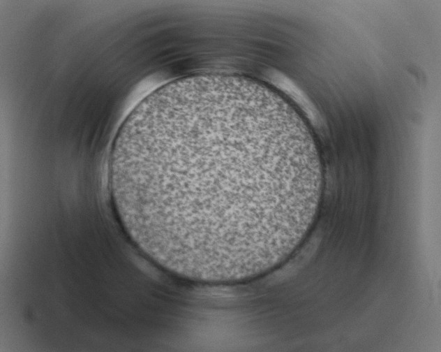 X0000116041370200912312224