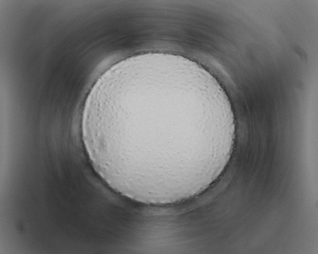 X0000116041374200912312224
