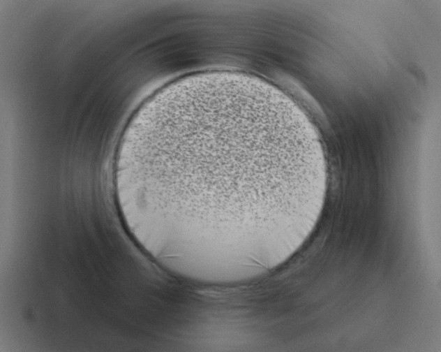 X0000116041380200912312224