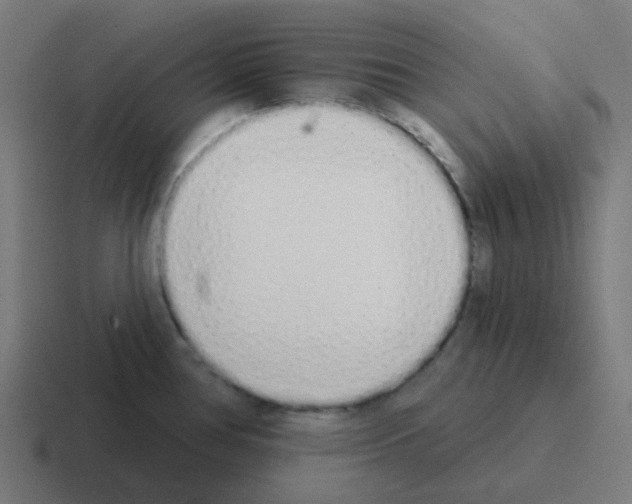 X0000116041386200912312224