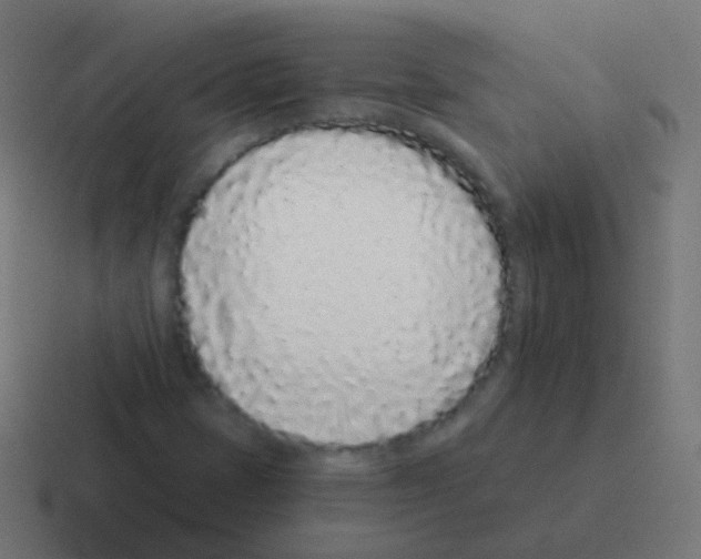 X0000116041401200912312223
