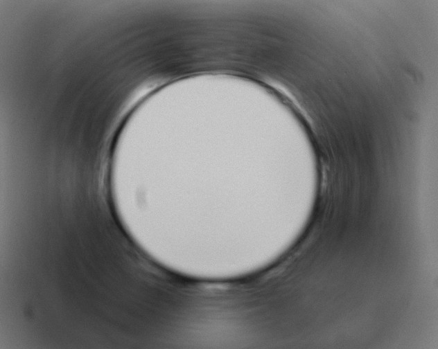 X0000116041410200912312223