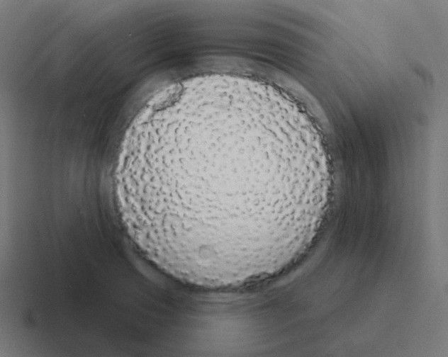 X0000116041425200912312224