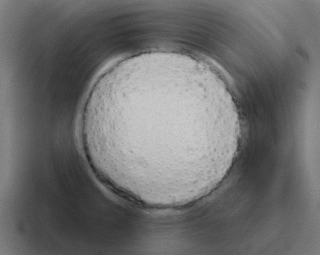 X0000116041429200912312224