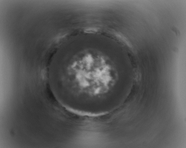 X0000116041445200912312223