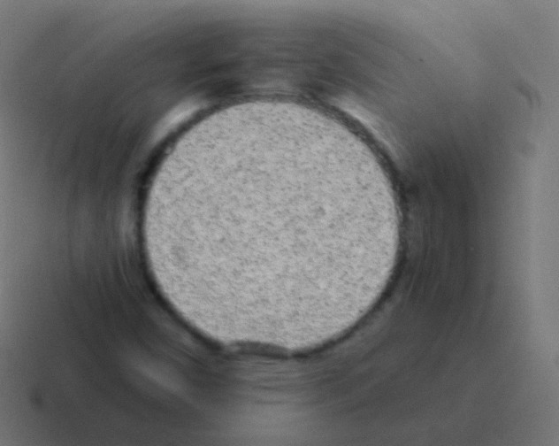 X0000116041450200912312223