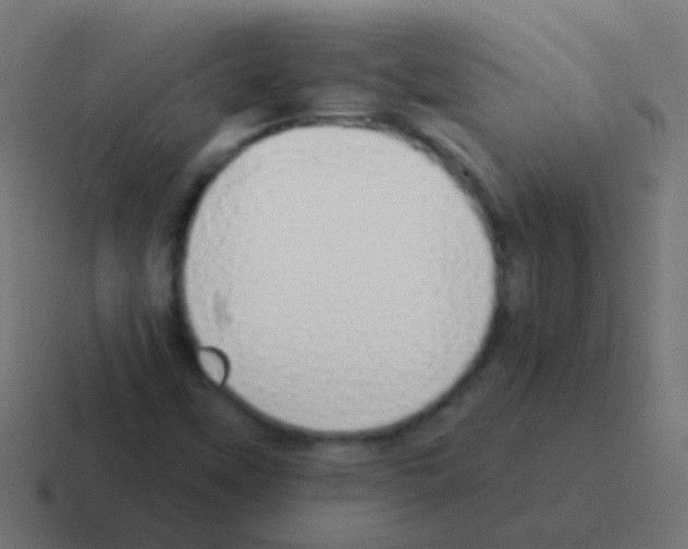 X0000116041451200912312223