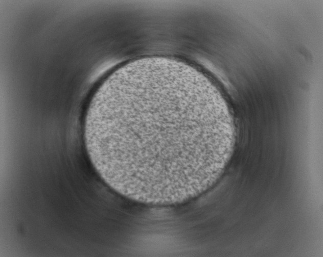 X0000116041453200912312223