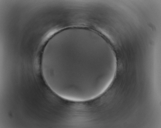 X0000116041455200912312223