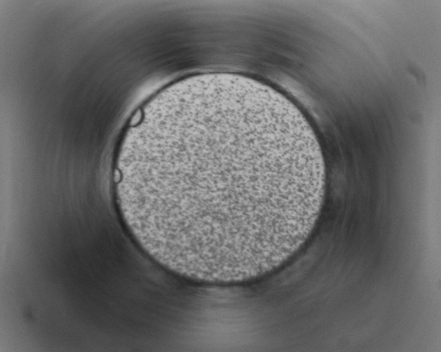 X0000116041469200912312223
