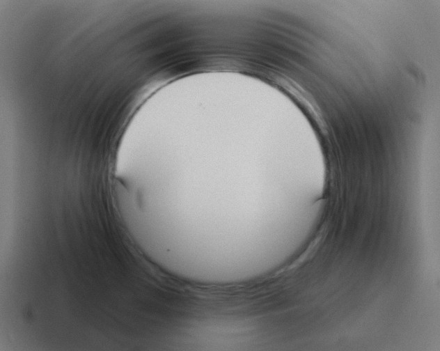 X0000116041481200912312223