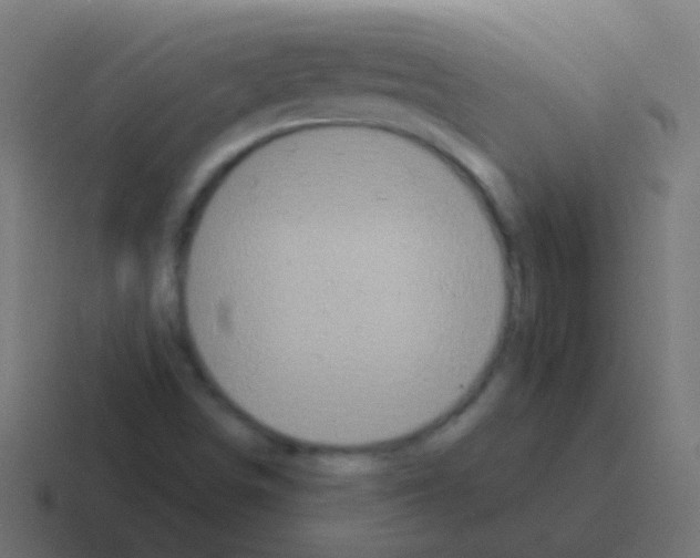 X0000116041498200912312222