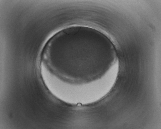 X0000116041522200912312222