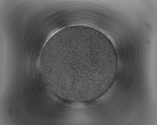 X0000116041529200912312222
