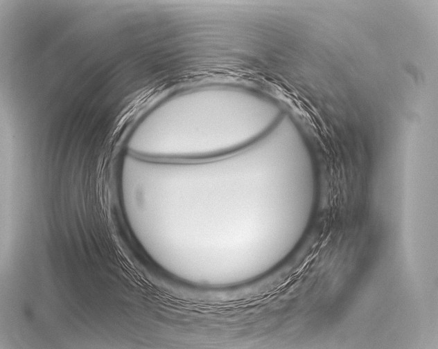 X0000116050002200911201052