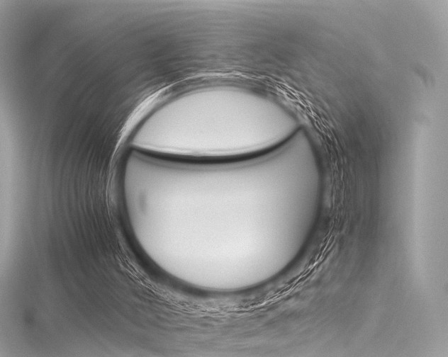 X0000116050004200911201052