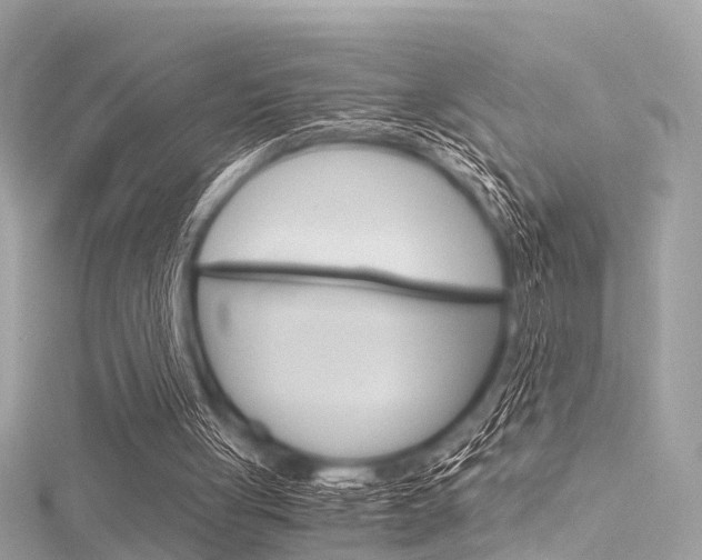 X0000116050051200911201051