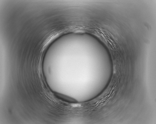 X0000116050052200911201051