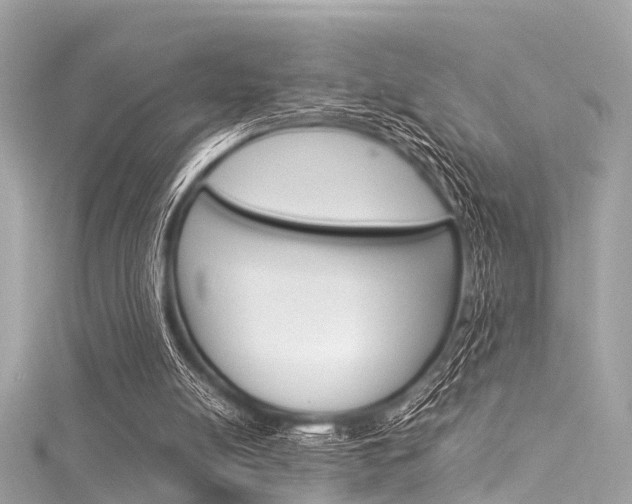 X0000116050054200911201051
