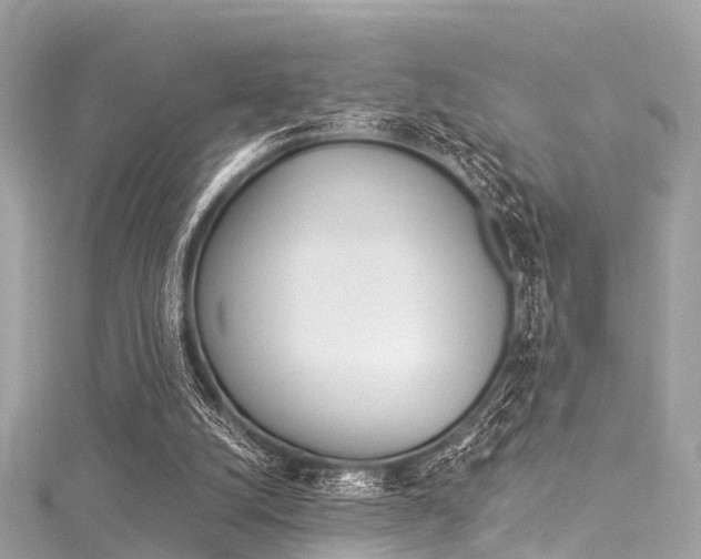 X0000116050056200911201051