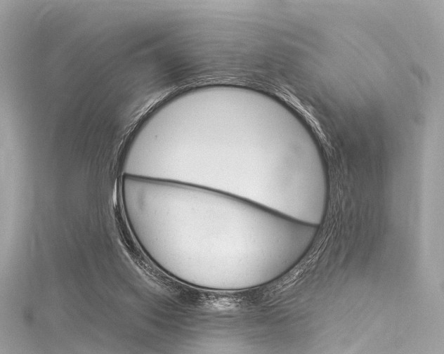 X0000116050062200911201051