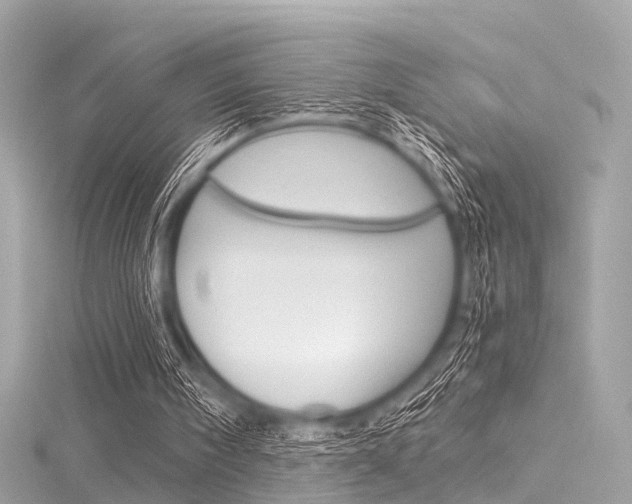 X0000116050098200911201051