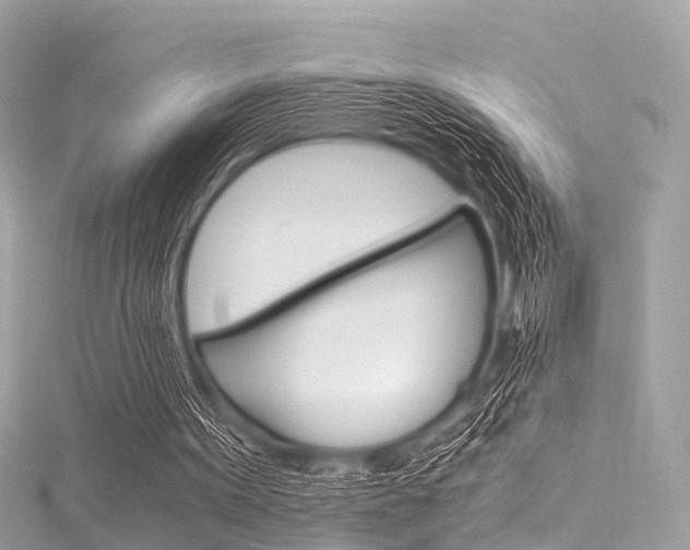 X0000116050099200911201051