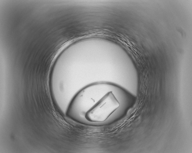 X0000116050100200911201051