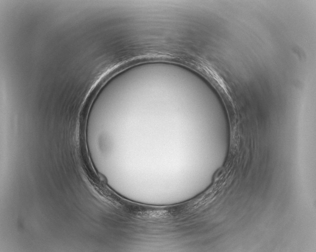 X0000116050108200911201051