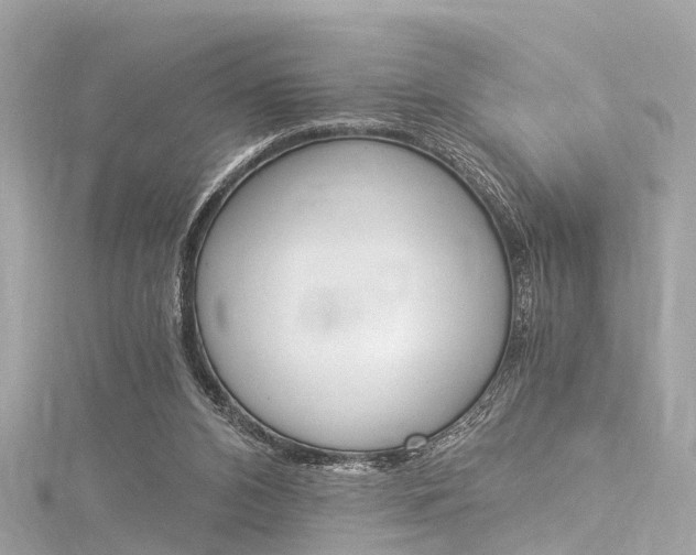 X0000116050112200911201051