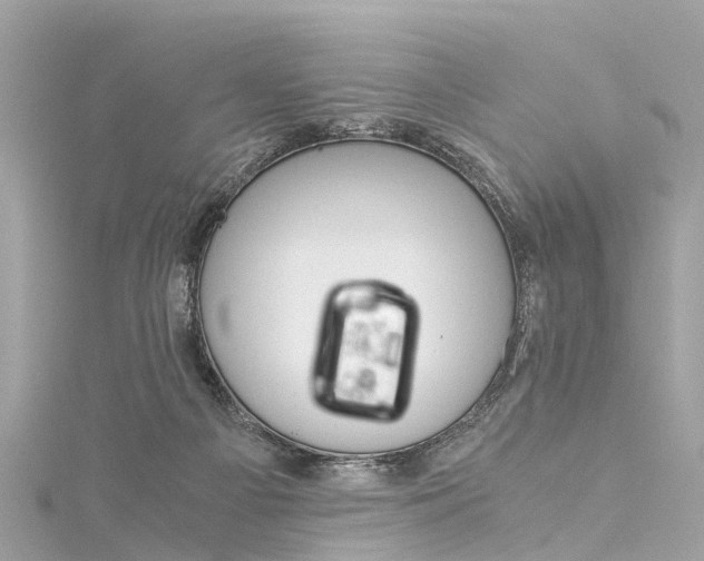 X0000116050121200911201051